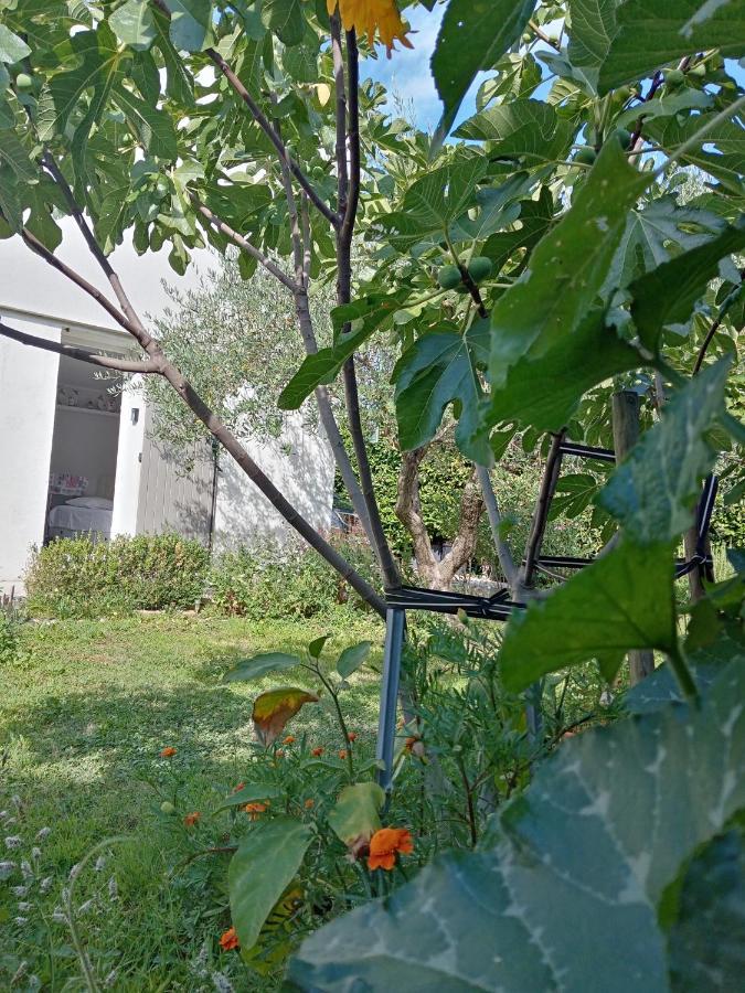 Au Coeur Du Luberon Cavaillon Exterior foto